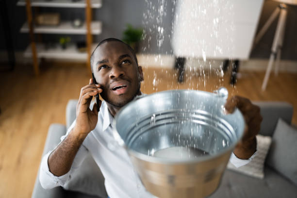 Best Professional water damage repair  in Lemmon, SD