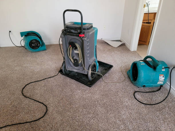 Best Flood restoration services  in Lemmon, SD