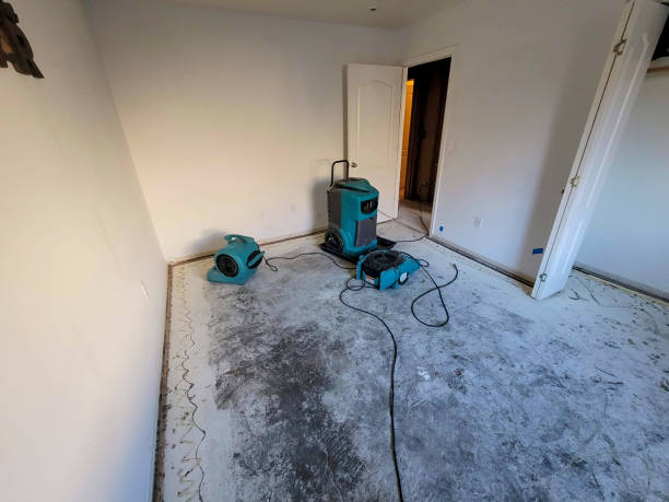 Best Water damage restoration near me  in Lemmon, SD