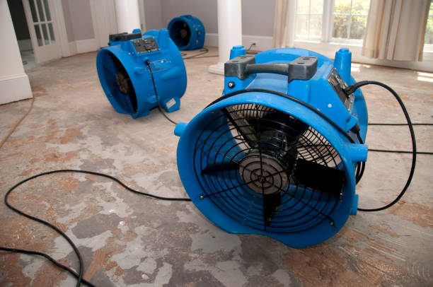 Best Water damage repair service  in Lemmon, SD