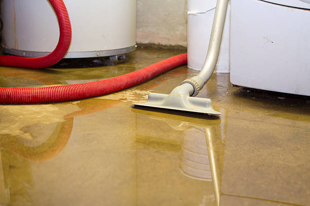 Best Flood damage cleanup  in Lemmon, SD
