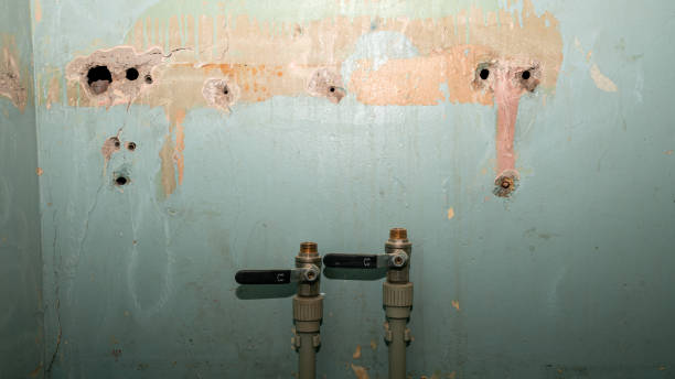 Best Residential water damage restoration  in Lemmon, SD