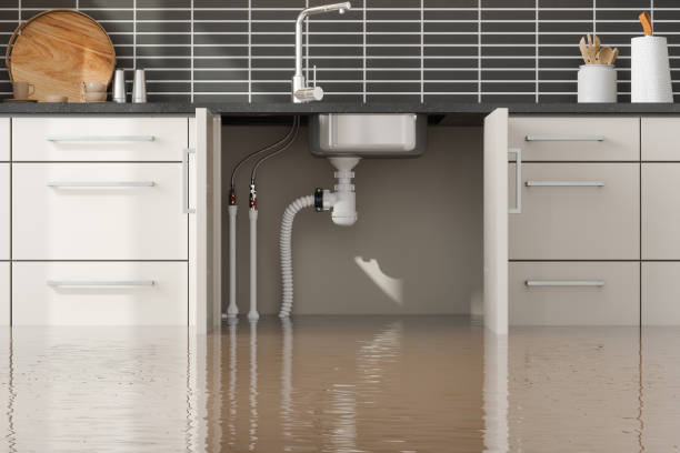Best Basement water damage restoration  in Lemmon, SD