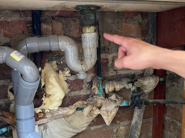 Best Fire Damage Restoration  in Lemmon, SD