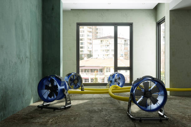 Best Water damage restoration near me  in Lemmon, SD